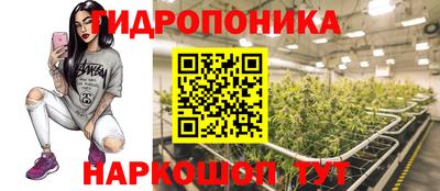 дмт Можга
